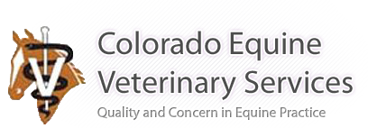 Colorado Equine Veterinary Services